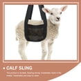 thumbnail image 3 of EeaseMX Eslinga de pesaje de malla, eslinga transpirable para cachorros, suministro de pesaje de animales pequeños para interiores, 3 of 7