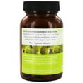thumbnail image 4 of Organic India - Organic Amla Rejuvenating Superfruit - 90 Vegetarian Capsules, 4 of 6