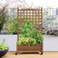 Elegant Wood Garden Raised Bed Lattice Vine Climbing Plant Box Pot with