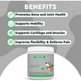 thumbnail image 4 of Wonder Paws Hip & Joint Supplement for Dogs – Mobility & Immune Support – 90 Chews, 4 of 8