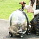 thumbnail image 3 of Transportín para Gatos Colco Maleta con Ruedas Ventilado para Gatos Y perros, 3 of 8
