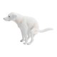 thumbnail image 2 of Figura realista de perro labrador, juguete de cachorro realista, decoración del hogar, modelo animal de simulación para sala de estar, hotel, comedor,, 2 of 8