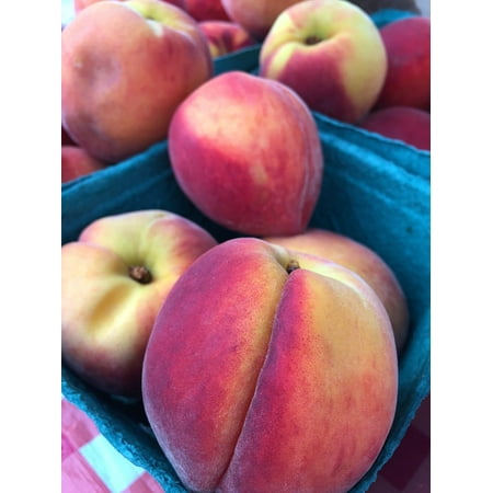 Canvas Print Peaches Fruit Fresh Farmers Market Ripe Healthy Stretched Canvas 10 x
