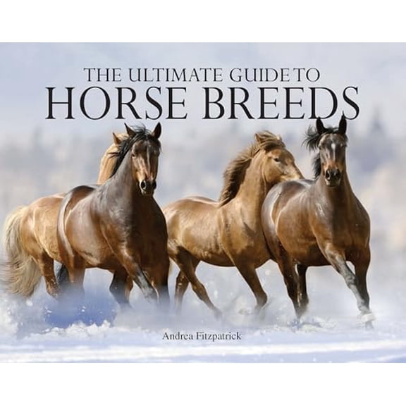 Pre-Owned Ultimate Guide to Horse Breeds (Paperback Chunkies) (Paperback) 0785822666 9780785822660