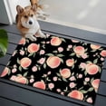 thumbnail image 4 of Pink Flower Washable Small Entryway Area Rugs 2'x3', Peach Green Leaf Black Background Fruit Abstract Low Pile Throw Rug Non-Slip Sturdy Edge Binding Carpet for Front Door Floor Room Entry, 4 of 9