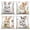 C, variant on Happy Easter Pink Throw Pillow Covers 18x18 Set of 4,Cute Bunny Rabbit Eggs Decorative Pillow Cases for Bedroom Sofa Couch