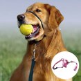thumbnail image 3 of Cubierta bucal para perros, entrenamiento para perros, antidisturbios, correr y tirar de la correa del perro, entrenamiento para pasear perros MFZFUKR CPB-US-XAH47-5, 3 of 5