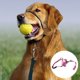 thumbnail image 3 of Cubrebocas para perros, adiestramiento canino, antidisturbios, correr y tirar de la correa del perro, adiestramiento para pasear perros, 3 of 5