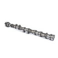 thumbnail image 2 of GELUOXI Intake Camshaft LR030366 for Land Rover Discovery, Range Rover Evoque, Freelander 2 LR056374, 2 of 10