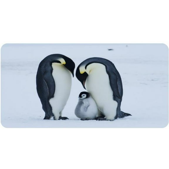 212 Main LPO5524 6 x 12 in. Penguins with Baby Photo License Plate
