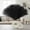 Black, variant on Faux Pampas Grass Decor 17 Inch 6pcs, Artificial Pampas Grass Fluffy Home Decor,Gothic Decorations Short Vase Room Decor pompous Grass Flower Arrangement for Boho Home Wedding Decoration(Beige Mixed)
