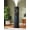 Black, variant on 2.1Gal/8L Cool Mist Humidifier for Room Bedroom, Large Room Humidifier for Home Whole House, Quiet Ultrasonic Humidifier with Night Light, White, Lacidoll