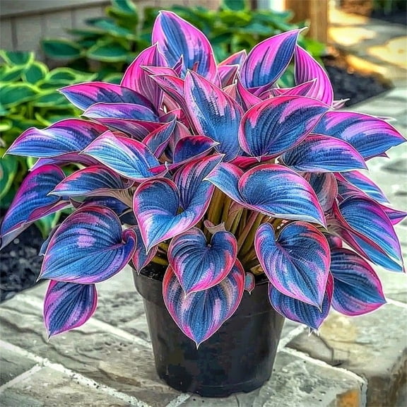 Elegant Hosta-Bulbs-Mix Garden Stake, Perfect for Outdoor Patio & Yard Decoration