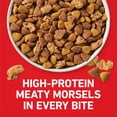 thumbnail image 4 of Purina ONE Chicken and Rice Formula Natural Dog Food, 16.5 lb, 4 of 13