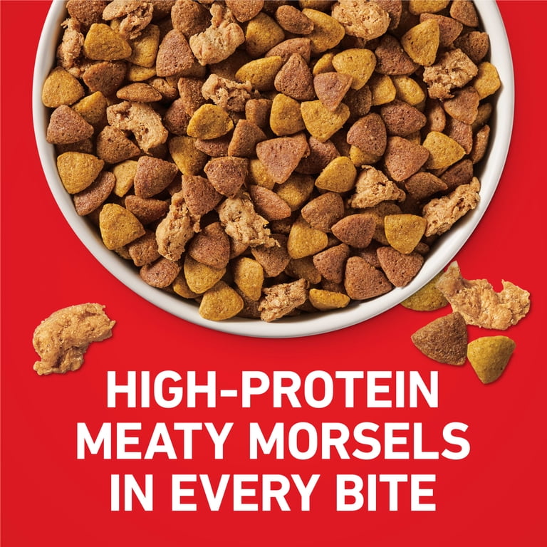 Free Shipping! Purina ONE High Protein Dry Dog Food, Real Chicken