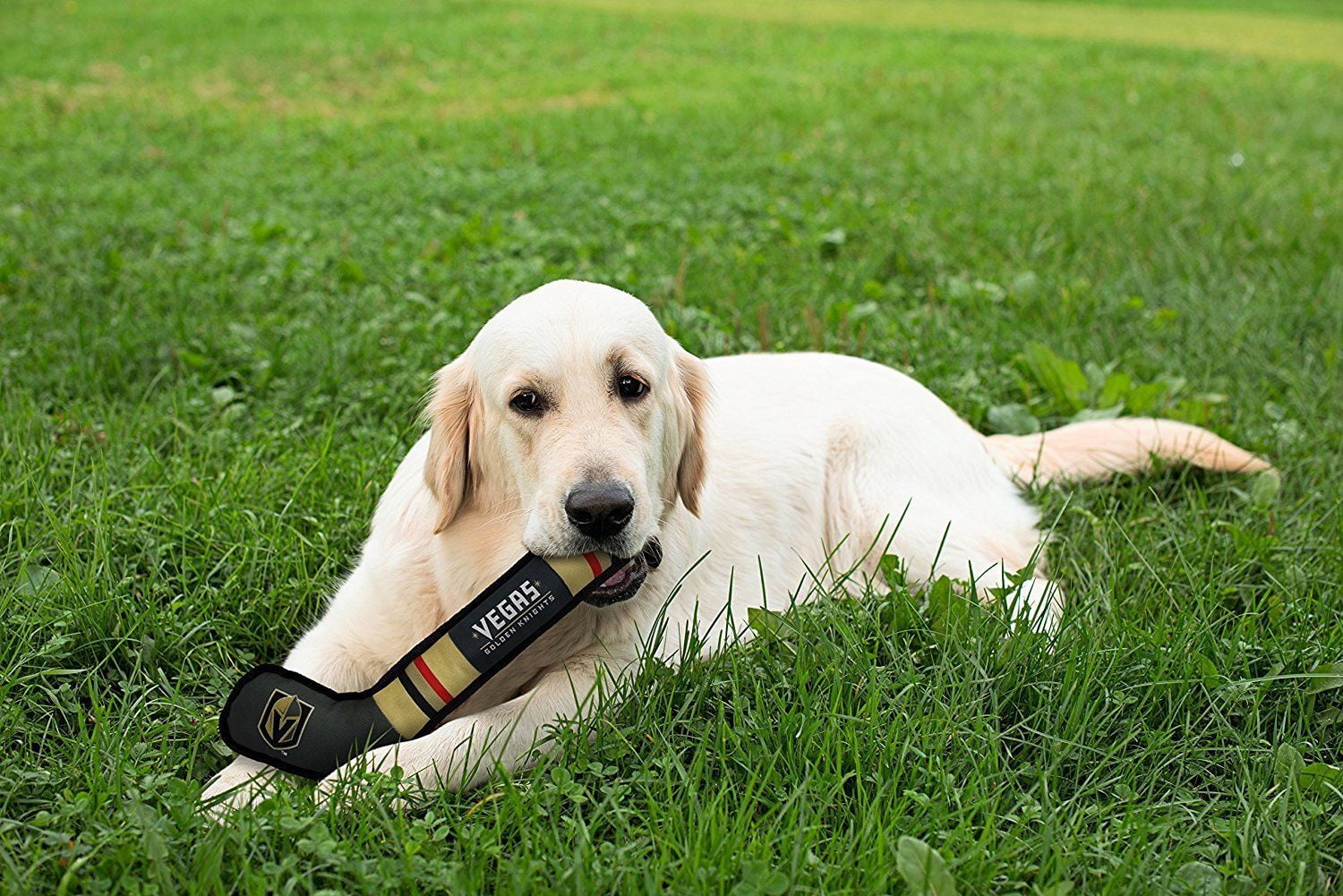 Pets First NHL Vegas Golden Knights Hockey Stick Toy for Dogs & Cats - Heavy-Duty, Durable Dog Toy with Squeaker
