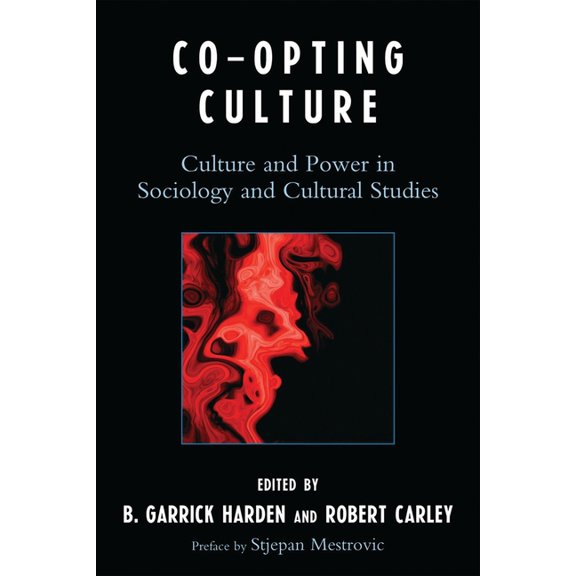 Co-opting Culture: Culture and Power in Sociology and Cultural Studies, (Paperback)