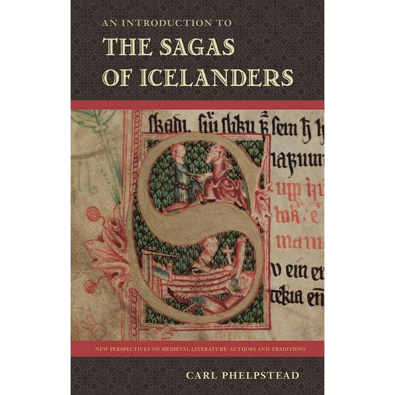 New Perspectives on Medieval Literature: An Introduction to the Sagas of Icelanders, (Hardcover)