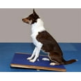 thumbnail image 4 of FitPAWS® Giant Rocker Board (30" x 30") for Dog Fitness and Agility, 4 of 4