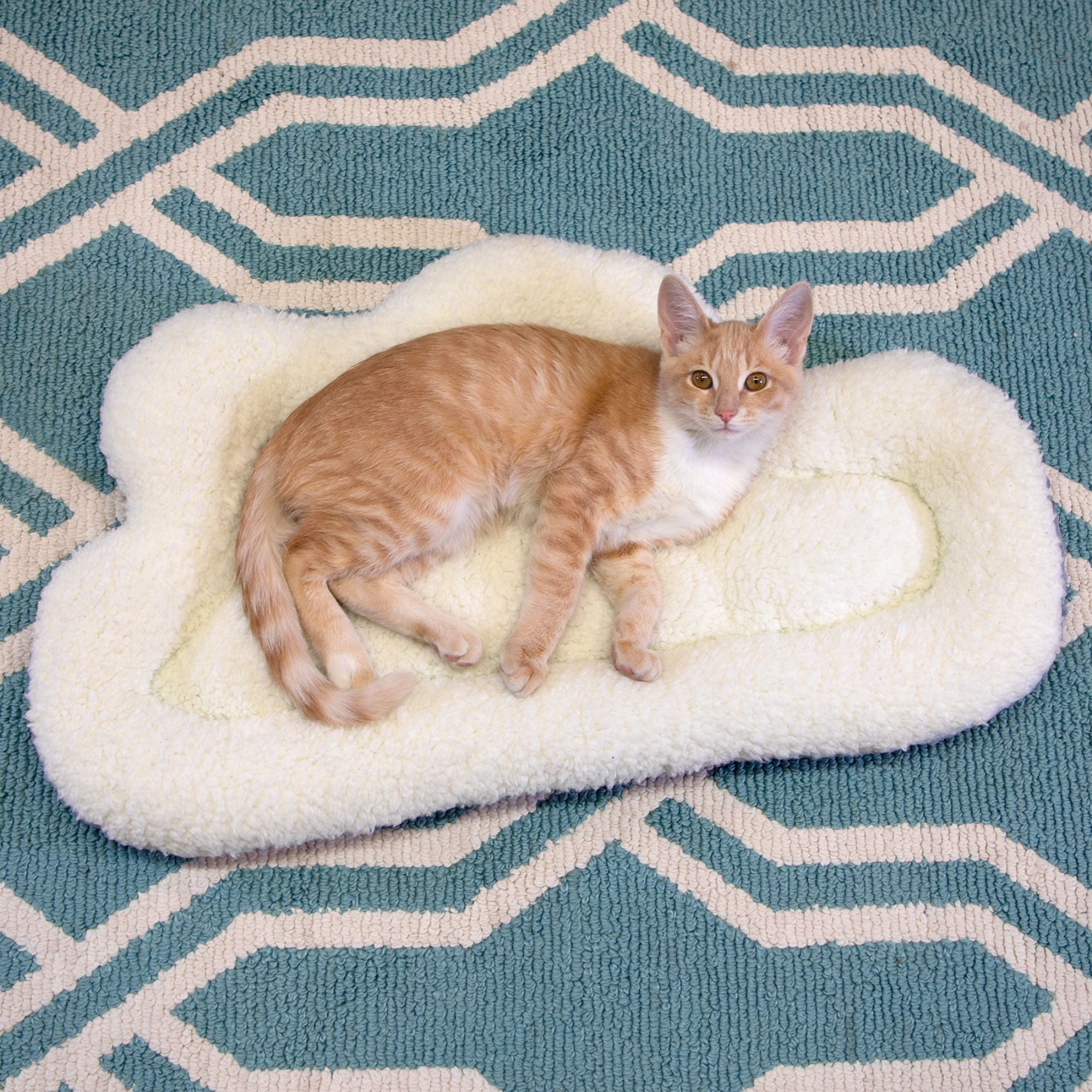 Kitty City Cloud Bed