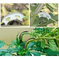 thumbnail image 4 of 120 Pcs Plant Bender Set, Plant Training for Low Stress Training,Branches Bender Bending Clips Plant Support Clips Twig Clamps, Control The Growth of Plants, 4 of 7