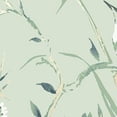 thumbnail image 4 of Crown Mariko Bird Wallpaper, 4 of 4