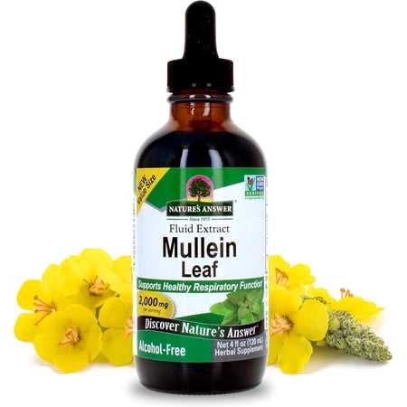 Nature's Answer Mullein Leaf Extract Alcohol‑Free, 2000 mg, Dietary Supplement, 4 fl oz