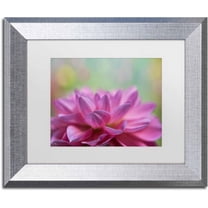 Trademark Fine Art 'Dahlia Petals' Canvas Art by Cora Niele, White Matte, Silver Frame
