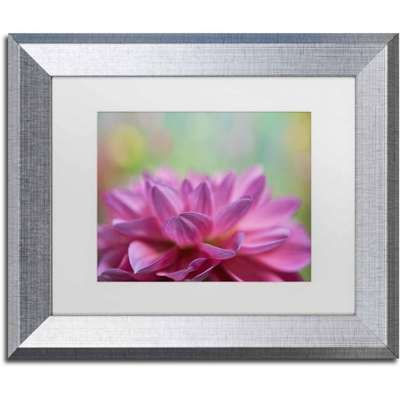 Trademark Fine Art 'Dahlia Petals' Canvas Art by Cora Niele, White Matte, Silver Frame