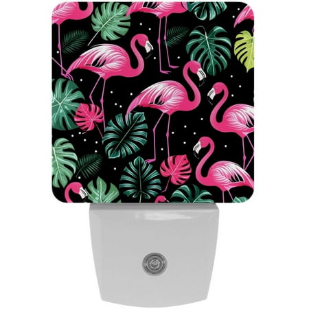 

Night Light Night Lights Plug into Wall Dusk to Dawn Sensor White Led Night Light 2 Pack Nightlight for Bedroom Bathroom Hallway Kitchen Tropical Palm Leaves Pink Flamingos