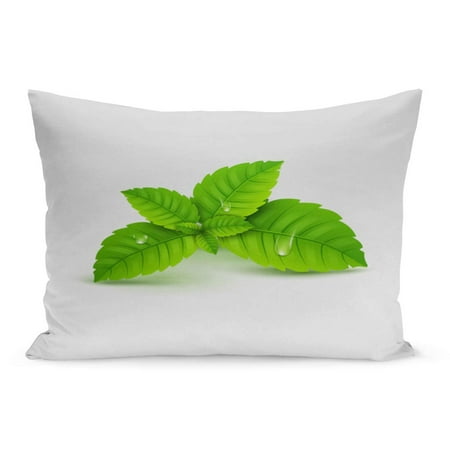 ECCOT Aromatherapy Fresh Mint Leaf Menthol Healthy Aroma Herbal Nature Pillowcase Pillow Cover Cushion Case 20x30 (Best Way To Store Fresh Mint Leaves)