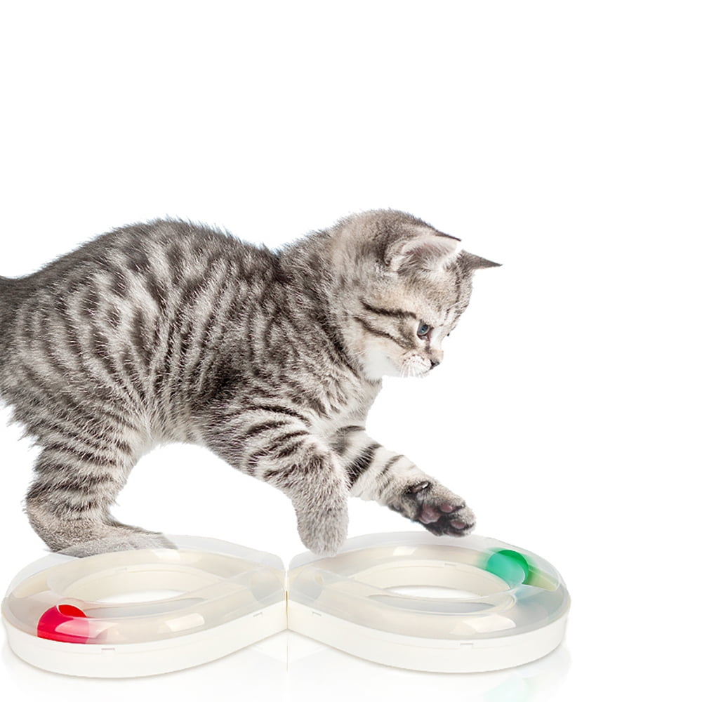 carno cat toys
