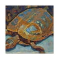 thumbnail image 3 of Box Turtle Expressionism - Canvas, 3 of 25