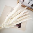 thumbnail image 2 of Flower Arrangement Dried Pampas Grass Real Plants Natural Herb Bouquet For Wedding Home Decoration Net Red Little Reed, 2 of 10