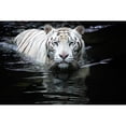thumbnail image 3 of Doyle, Renee 14x11 Black Modern Framed Museum Art Print Titled - Looking At Me Looking At You, 3 of 5