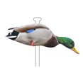 thumbnail image 5 of Higdon Decoys 13031 Flats Mallard Duck Standard Silhouette Duck Decoys, Pack of 12, 5 of 6