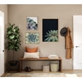 thumbnail image 6 of Kate and Laurel Sylvie Succulent 8, Succulent 1, and Succulent 5 Framed Canvas Wall Art Set by Emiko and Mark Franzen of F2Images, 3 Piece Set Natural, Modern Dramatic Botanical Wall Décor, 6 of 6
