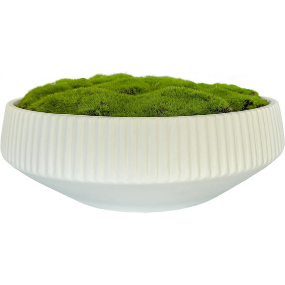 Moss Bowl | 12" Diameter | Artificial | Lightweight Ceramic | Fluted Bowl | Home Décor
