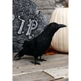thumbnail image 3 of Standing Black Crow Prop, 3 of 4