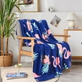 thumbnail image 1 of Jin Mai Lan Contemporary Blue Pattern Printed 100% Polyester Plush Throw 50 " x 60", 1 of 5
