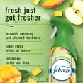 thumbnail image 4 of Febreze Air Mist Air Freshener Spray, Mango Splash Scent, 8.1oz, 2ct, 4 of 14
