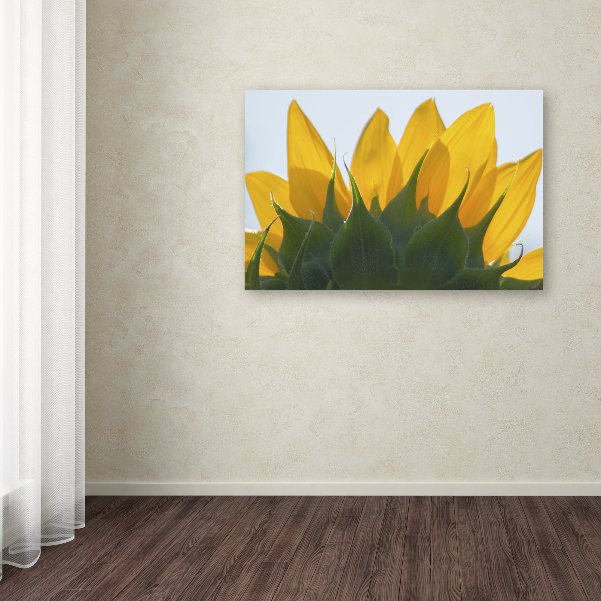 Trademark Fine Art 'Sunflower 1' Canvas Art by Patty Tuggle