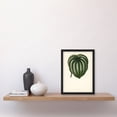 thumbnail image 4 of Vintage Botanical Pepper Elder Leaf Fawcett Framed Wall Art Print A4, 4 of 4