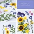 thumbnail image 2 of Flores secas naturales artesanías hechas a mano ramos en relieve flores prensadas Adorno hermoso presente para tarjetas de boda Vela de resina Tipo 4 Inevent HA010776-04, 2 of 7