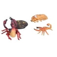 thumbnail image 4 of Juguetes Modelo de Ciencias Biológicas, 4 Etapas Interesante Modelo de Escorpión Juguete plástico Realista para Las Ayudas de Enseñanza Escolar para El Juguete Cognitivo infantil, 4 of 7