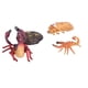 thumbnail image 3 of Kit de ciclo de vida de escorpión, juguetes de ciclo de vida de escorpión, etapas de estilo de vida, juguetes modelo de etapa de vida de escorpión, durabilidad mejorada, 3 of 9