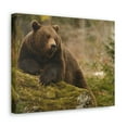 thumbnail image 2 of Majestic Brown Bear Art Majestic Brown Bear Print Animal Wall Art Wildlife Canvas Prints Wall Art Ready to Hang Unframed, 2 of 18