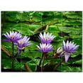 thumbnail image 1 of Flowers Ceramic Tile Mural Kitchen Backsplash Bathroom Shower 402584-S43, 1 of 9