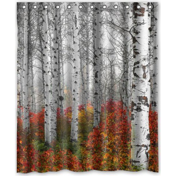 Greendecor Birch Tree Waterproof Shower Curtain Set With Hooks Bathroom Accessories Size 60x72 Inches Walmart Com Walmart Com
