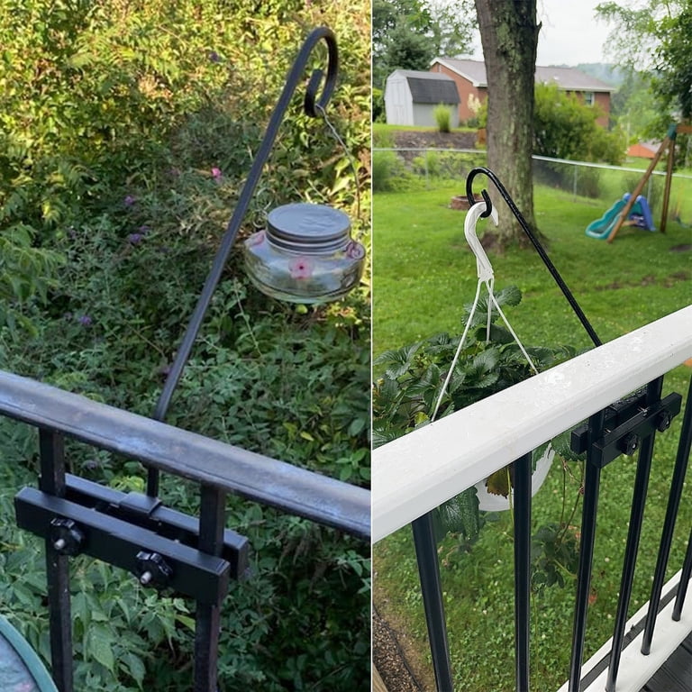 lucky bamboo plant stalks Lucky Bamboo Stalks Gift main image 0